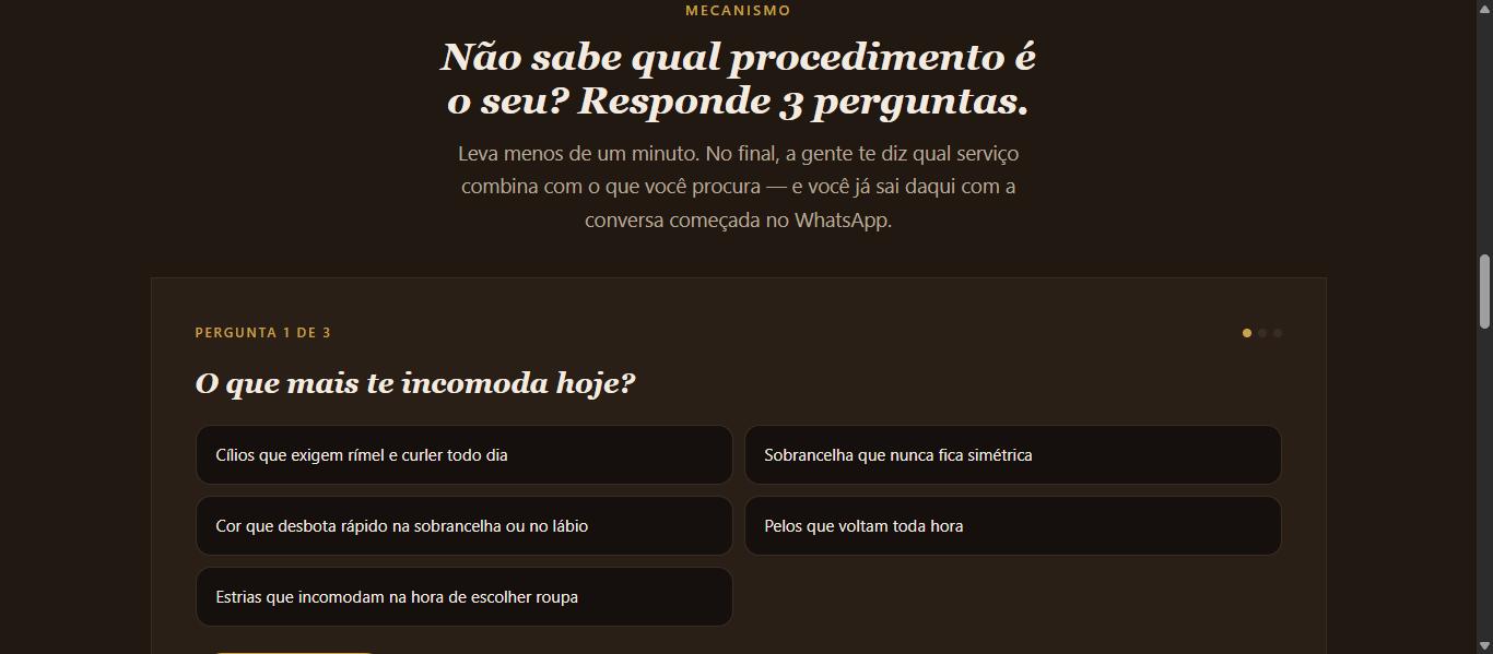 Print real do quiz interativo de qualificação dentro de uma das landing pages